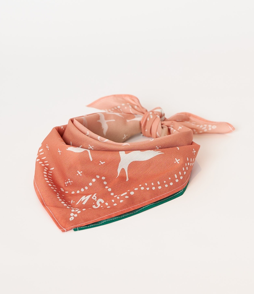 BANDANA02_46331_02