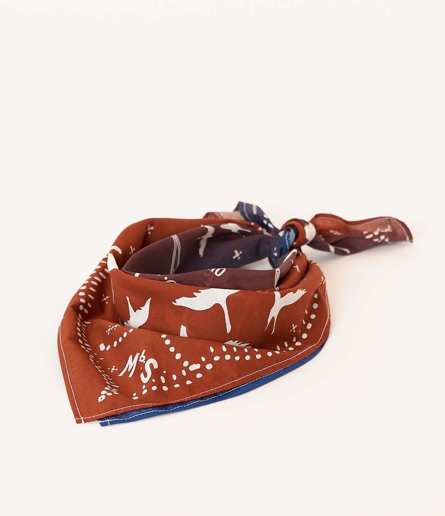 BANDANA02_661812_03