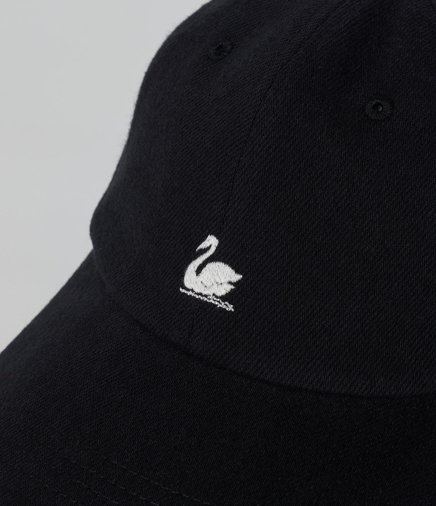 CAP01T_99_04.jpg
