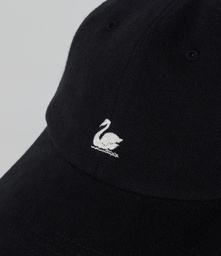 CAP01T_99_04.jpg