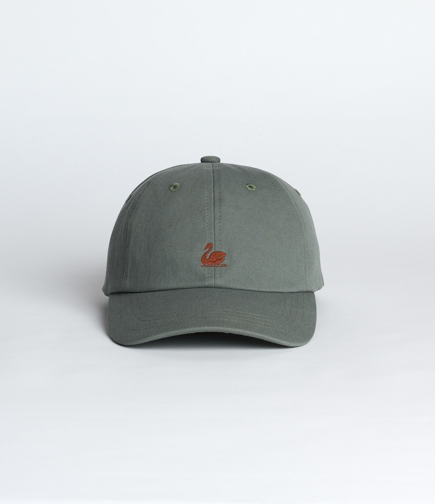 CAP01_4112_01