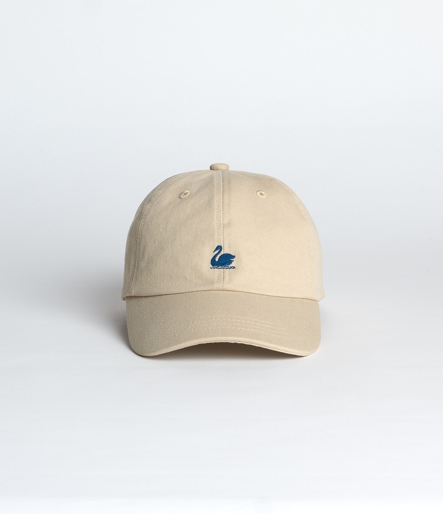 CAP01_16158_01