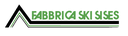 Fabbrica Ski Sises Shop